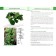 Atlas of medicinal plants and impurities for them. Tutorial