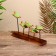 Souvenir "Turtles" on a stand, Albezia 30x5x20 cm