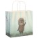 Gift package, 22x22x1 cm, craft, packaging, hedgehog in fog