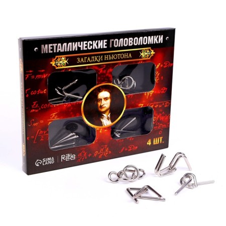 Metal puzzle “Newton's riddles”, set 4 pcs-5