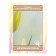 Photostes "Spring tulips", Saten, size 145x265 cm, 2 pcs