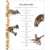 Big Encyclopedia. Dinosaurs