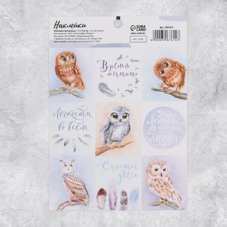 Paper stickers "owls", 11 × 15.5 cm