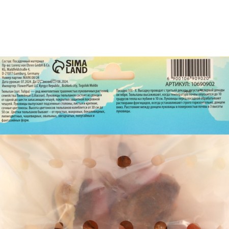Tulip Miki Chick, rr 12/+, 5pcs, autumn 2024-2