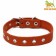 Collar leather single-layer, dimensionless, 56 x 2.5 cm, Osh 17-44 cm, orange