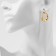 Earrings Metal "Chain" semicircle, link, color silver with gold