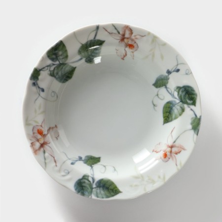 Porcelain plate "Fiona", 350 ml, d = 22 cm-1