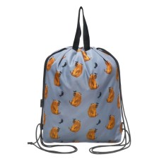 Shoe bag 440 x 365 mm, Erich Krause, density 300D, with handles, capYBARA