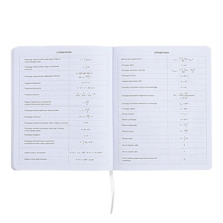 The universal diary for grade 1-11 "Do not need me to be nervous!", Soft cover, artificial leather, silkography, lies, 80 g/m2-8