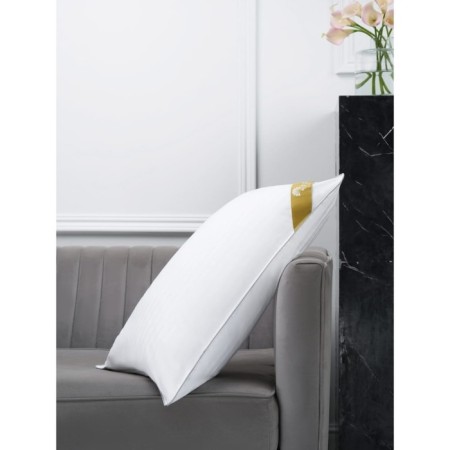 Ehclusive Line Elegia pillow, size 50x70 cm-2