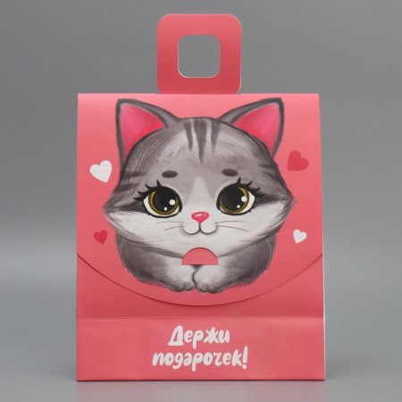 Gift package with a mold valve, packaging, Kitik, 23 x 27 x 11.5 cm-1