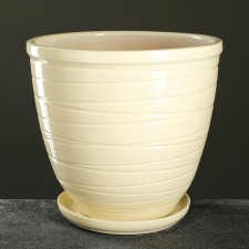 Flower Pot 