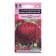 Astra Seeds "Bull Rubinovo - Red", 0.05 g