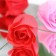 Soap roses, colored shades, set of 12 pcs.