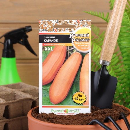 Semen zucchini "winter", 5 pcs.