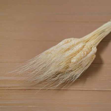 Dry Column of wheat, set 50 pcs., White color-4