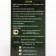 Compulsion for coniferous plants "Radigrin", green, 30 ml