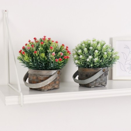 Bonsai "Delicate flowering in the basket" 9x13 cm, mix-3