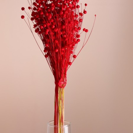 A set of dried flowers "Lenon-debunge", banch length 55-60 (+/- 6 cm), red-1