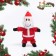 Soft toy for dogs "Santa Claus" with a squeak, 26 x 15 cm