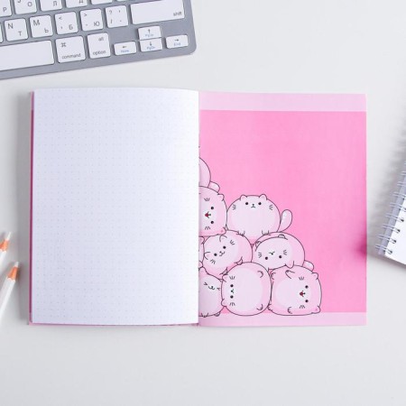 Notepad Coloring A6, 12 l. "You are cunning"-4