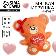 Soft toy-Magnet 