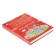 Large illustrated guide for the student