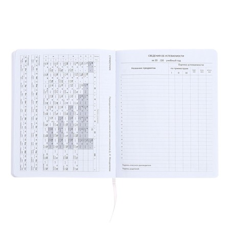 The universal diary for grade 1-11 "Do not need me to be nervous!", Soft cover, artificial leather, silkography, lies, 80 g/m2-10
