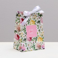 Gift package with a ribbon, packaging, 