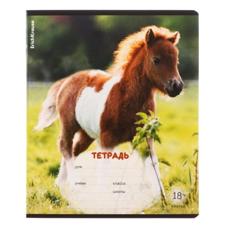 Notebook of 18 sheets in the Erichkrause “Fluff” cage, covered cartoon, OFSET block, mix-6