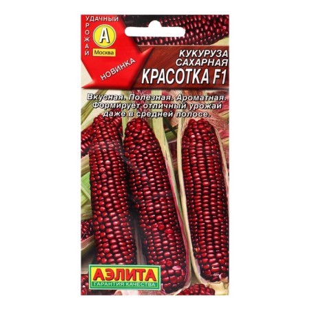 Sugar corn "beauty" F1, c/n, 5 pcs