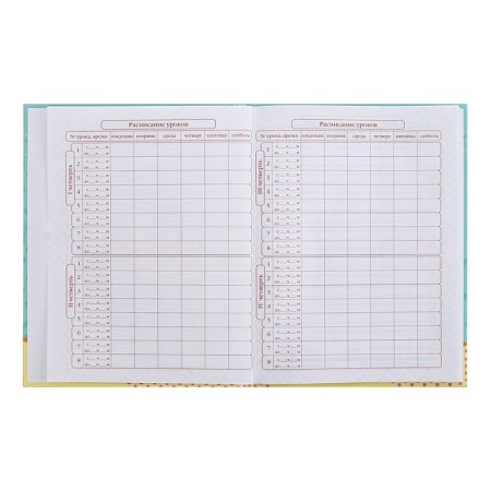 Diary for grades 1-4 Metoyou, hard cover, glossy lamination, 48 sheets-6