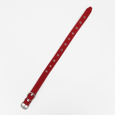 Leather collar on synthetic winterizer, dimensionless, 65 x 3 cm, Osh 22-55 cm, red-2