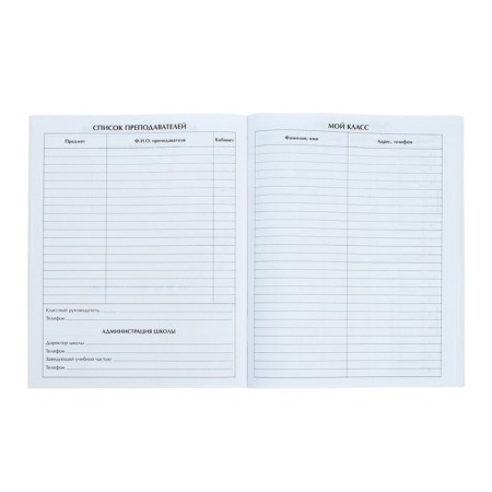 Universal diary for grades 1-11, Gossimvolika of Russia-4, soft cover, 40 sheets-3