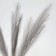 Pampas artificial grass, height 70 cm, 6 brushes, gray color