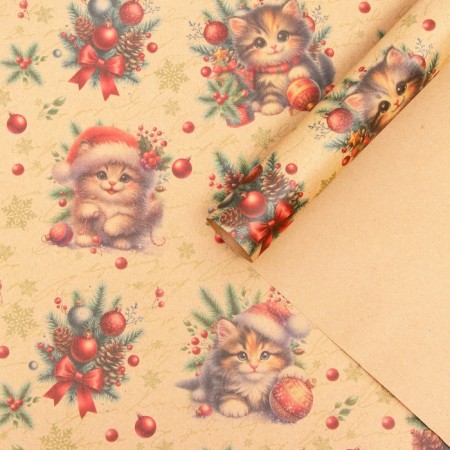 Package paper "Kit", brown craft, 80 g/m2, 50 x 70 cm