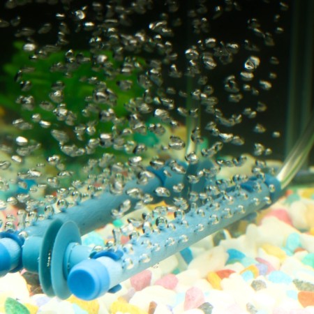 Air sprayer on suction cups, 17.8 cm, blue-8