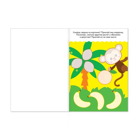 Application with coloring “what is growing where”, 20 pp., A4 format-1