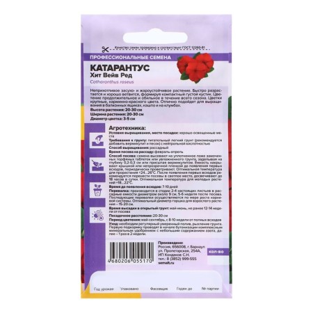 Catarantus Seeds "Hit Vave Ed", 7 pcs.-1