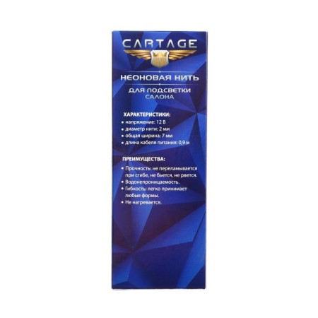 Cartage neon thread for lighting salon, feeder 12 V, 2 m, blue power adapter-5