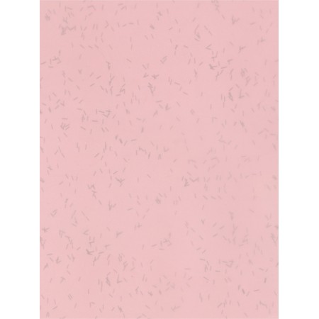 Flower Film "Star Night", 58 cm x 5 m pink lotus-5