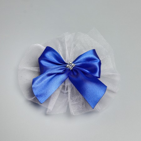 Set on the car "Guest" elite tape with an angle on the hood, 4 bow on pens, blue-2