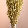 Set of dried flowers "Monetnik", banch length 50 (+/- 6 cm), natural