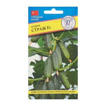 Seeds Cucumber "Guard" F1, 5 pcs