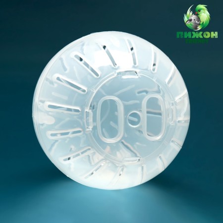 A ball for rodents 10 cm, transparent