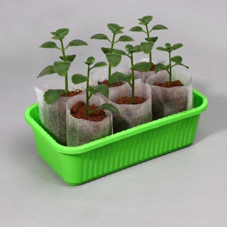 Пакет для рассады, 8 × 11 см, спанбонд плотностью 40 г/м², Greengo-6