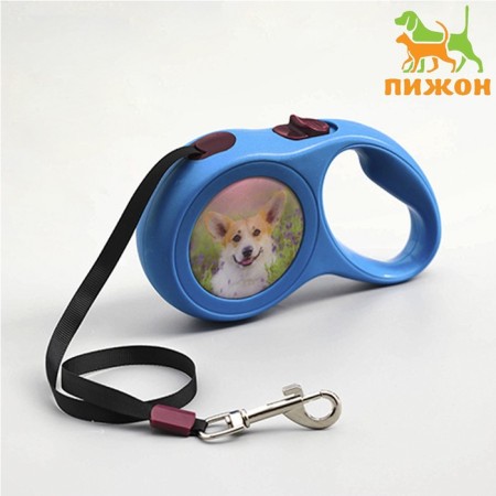 Roulette with a print "cutie", 5 m, animal weight up to 15 kg, blue