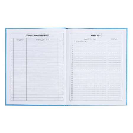 Diary for grades 5-11, 48 sheets "Inspiration!", Firm cover, glossy lamination, block 60 g/m2-5