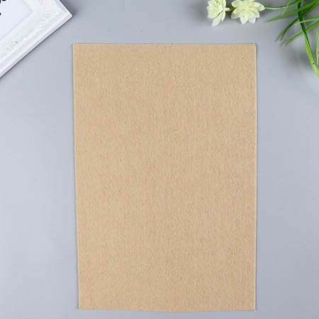 Soft felt 1 mm 20x30 cm St.
