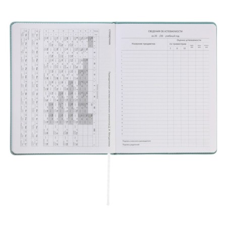Universal diary for grade 1-11 Modern Concept, solid cover, artificial leather, silkography, liesse, 80 g/m2-11